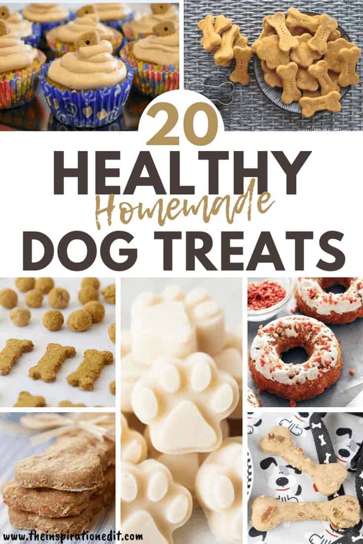 are homemade dog treat okay for puppies