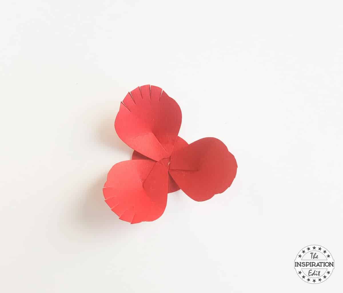 Poppy Flower With Poppy Craft Template · The Inspiration Edit