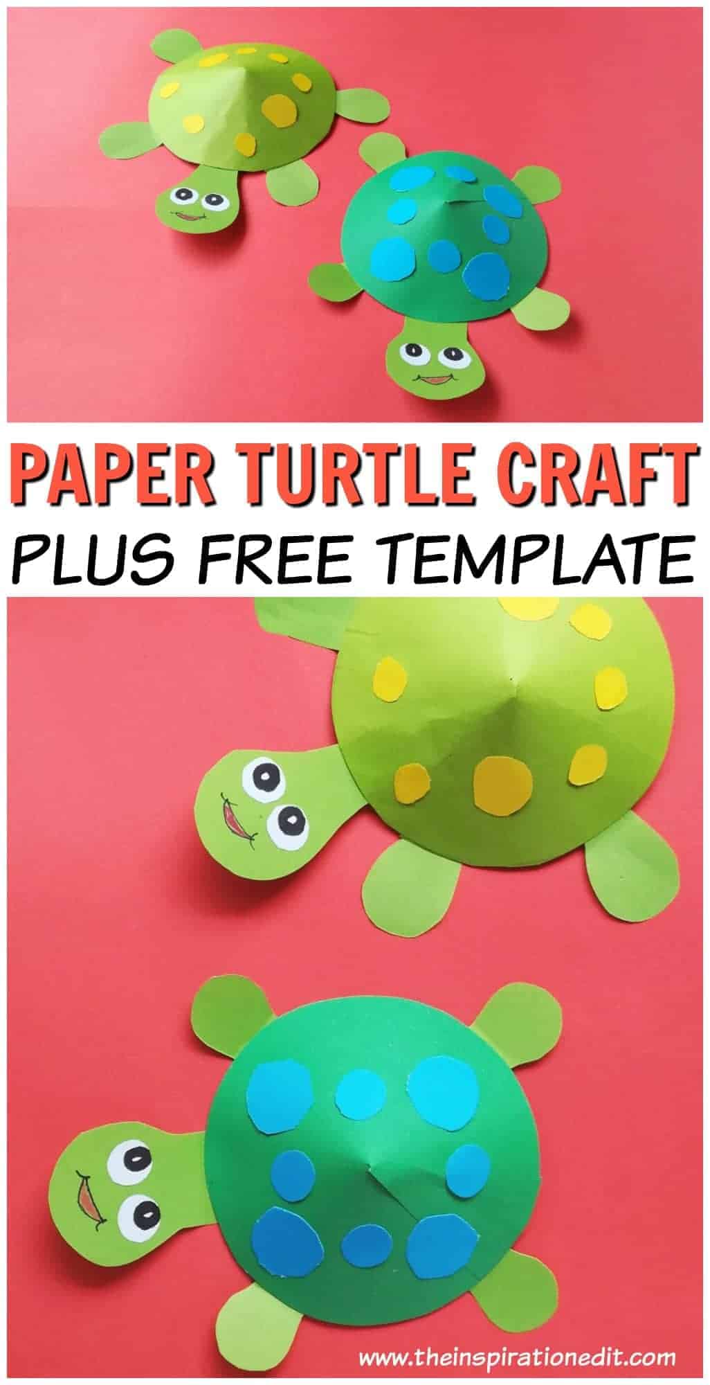 Paper Turtle Craft to Do With Kids · The Inspiration Edit