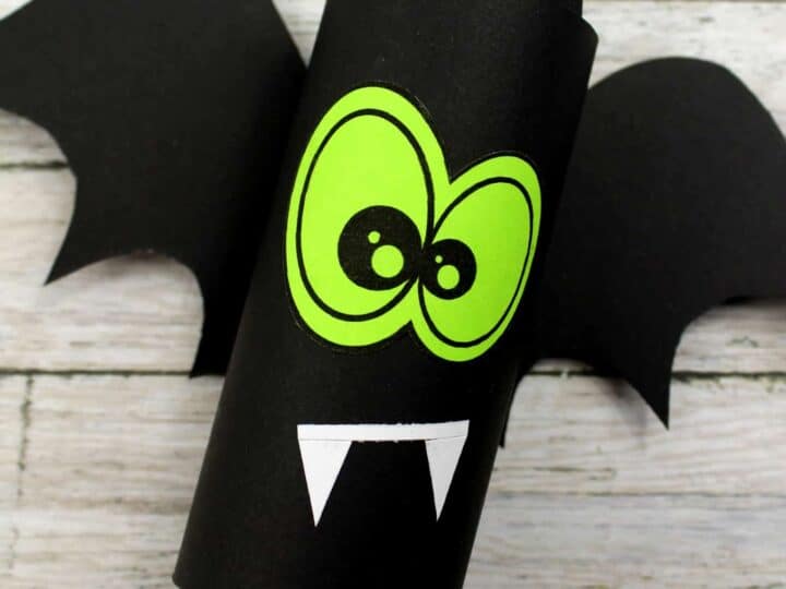 Toilet Paper Roll Bats [Video] [Video]  Halloween crafts, Fun halloween  crafts, Halloween crafts for kids