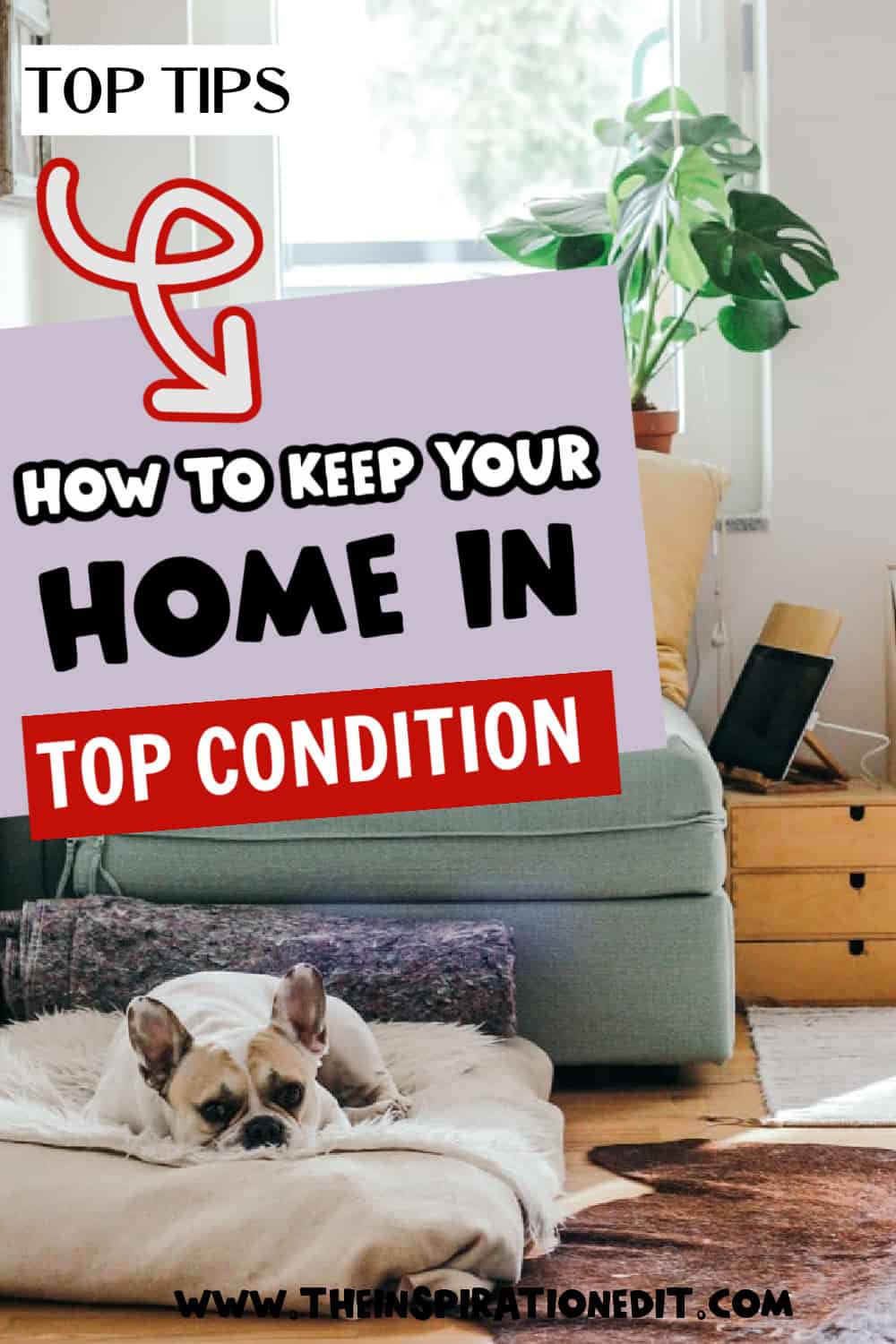 how-to-keep-your-home-in-the-best-condition-possible-the-inspiration-edit