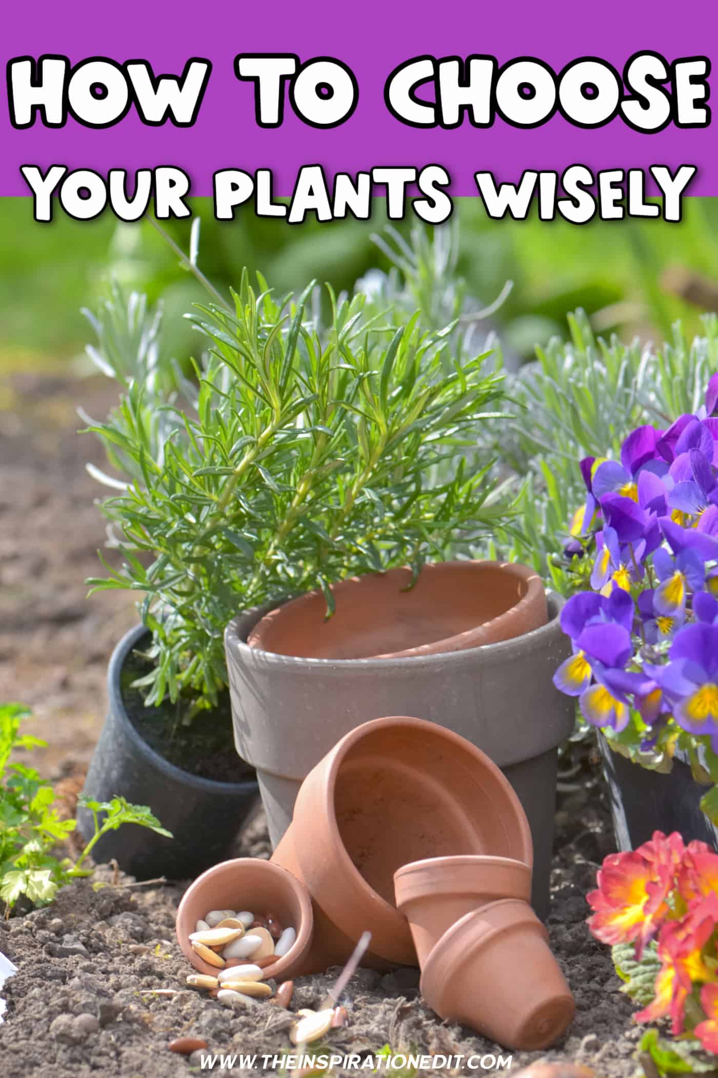 How to Choose Your Plants Wisely · The Inspiration Edit